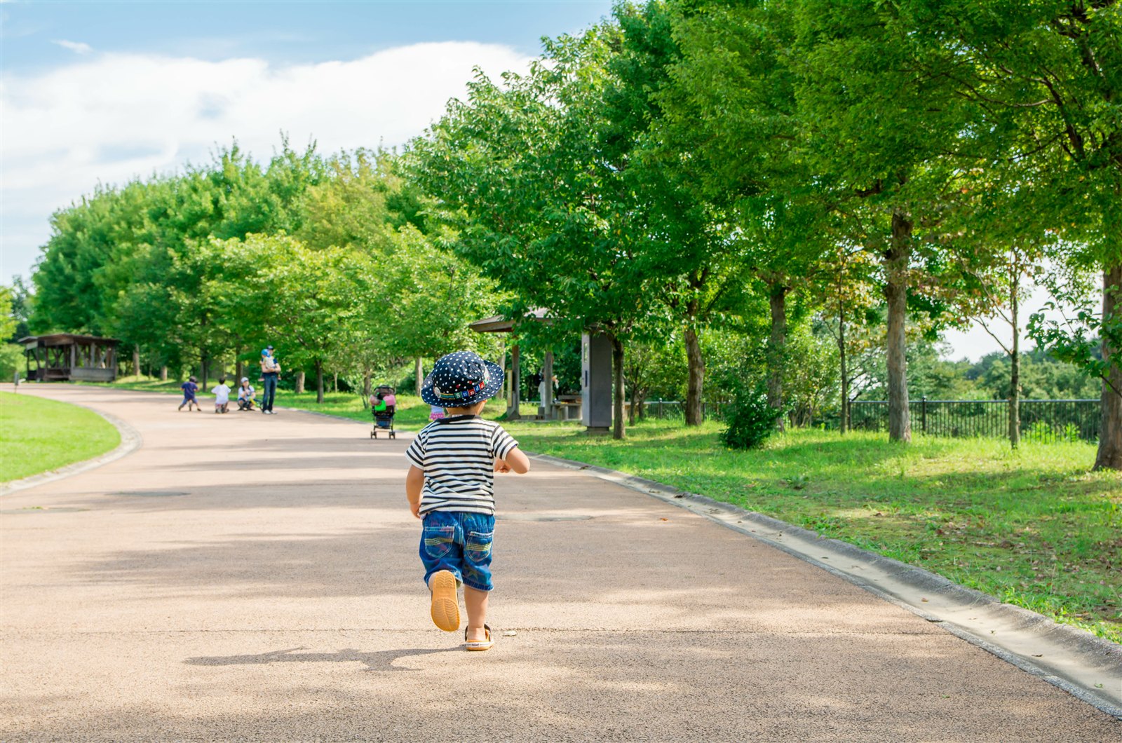 緑豊かな公園を自分の足で駆けていく子どもの様子