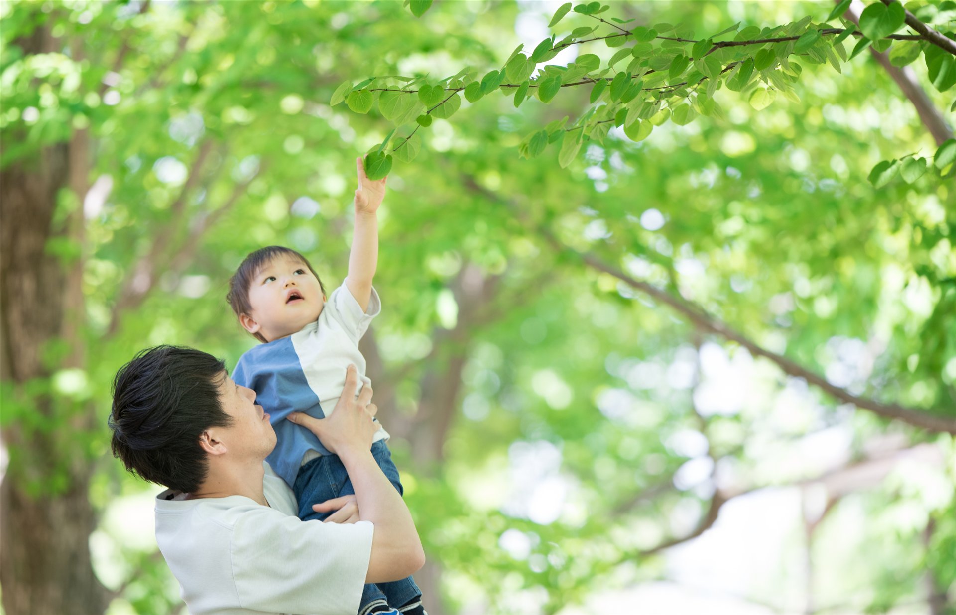 緑の中で子どもを抱き上げる保護者
